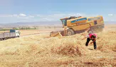Merzifon'da Biçerdöver Denetimleri Sürüyor