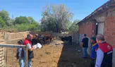Merzifon'da Hayvancılığa Yakın Takip!