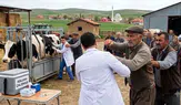 Çorum'da Hayvan Aşılama Ekibine Çirkin Saldırı!