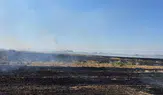 Merzifon’da İtfaiye Alarmda: Bir Günde 13 Yangın İhbarı!