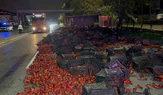 10 Ton Kapya Biber Taşıyan Kamyon Devrildi: 2 Yaralı