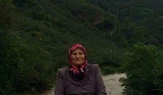 Fındık Bahçesinde Düşen Kadın Hayatını Kaybetti