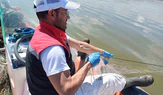Çorum'da Kaçak Avcılığa Geçit Yok: 3 Bin 100 Metre Yasa Dışı Ağa El Konuldu