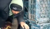 Düzensiz Göçmen Operasyonu! Yasa Dışı Yollarla Giriş Yapan 1 Kişi Yakalandı