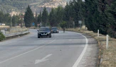 Başıboş Eşek Sürücülere Zor Anlar Yaşattı