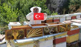 Amasya’da arıların seçimi sonuçlandı