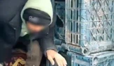 Düzensiz Göç Operasyonu: 7 Kişi Yakalandı