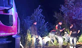 Otomobil Virajı Alamayıp Yoldan Çıktı: 1 Yaralı