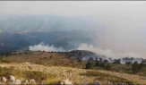 Amasya’da orman yangını: 35 hektar alan zarar gördü