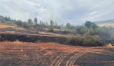 Çorum’da arazi yangını: 250 dönüm tarla ve 15 dönüm ağaçlık alan zarar gördü
