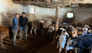 Kızıleğrek’te Hayvan Tespiti ve Kontrolleri Yapıldı