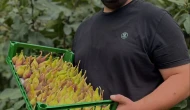 Amesia Gıda’dan Sözleşmeli Tarım
