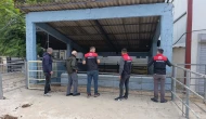Merzifon Kesimhanesinde Gıda Güvenliği Denetimi