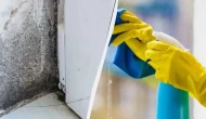 Duvarlarda artık siyah küf olmayacak! Basit tüyo