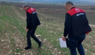 Merzifon’da 2025 Üretim Yılı İçin Arazi Kontrolleri Sürüyor