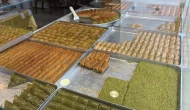 Merzifon’da Bayramın Tatlı Adresi