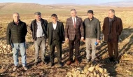 SAFİ ŞEKER, TAHTASIZ'A TAZMİNAT DAVASI AÇTI!