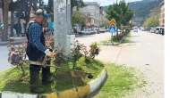 Taşova’da Yabani Otlara Karşı Temizlik Seferberliği