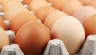 Rüyada Yumurta Görmek Ne Anlama Gelir? İşte Yumurta Kırmak, Toplamak ve Yemekle İlgili Rüya Yorumları