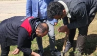 Amasya’da Süne Zararlısına Karşı Kışlak Surveyi Çalışmaları Sürüyor