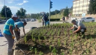 Suluova Belediyesi’nden Lise Kavşağı’na Renkli Dokunuş