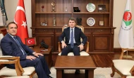 Amasya’da Sahipsiz Hayvanlar İçin Kurul Toplantısı Düzenlendi
