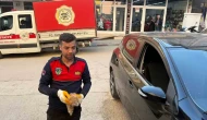 Otomobilin motor kısmına giren yavru kediyi itfaiye kurtardı