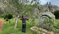 Amasya Belediyesi'nden Yeşil ve Temiz Bir Kent İçin Yoğun Çalışma