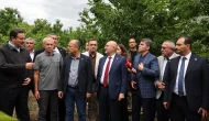 Amasya'da Zirai Donun Etkileri İncelendi, Çiftçilere Destek Sözü Verildi