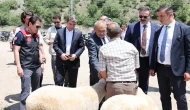 Amasya Protokolünden Hayvan Pazarı Ziyareti