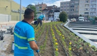 Suluova Belediyesi’nden Şehre Renk Katan Dokunuşlar