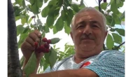 Elektrik akımına kapıldı, hayatını kaybetti