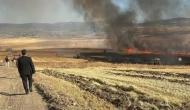 Sungurlu’da 3 Bin Dönüm Ekili Arazi Kül Oldu