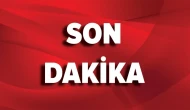 Önce Vatan Piknik Alanı’nda Yangın!