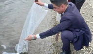 Taşova’da Ekosisteme Can Veren Proje! 25 Bin Sazan Bırakıldı