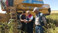 Amasya’da Ayçiçeği Hasadı Kontrolleri Sürüyor