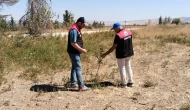 Amasya Misket Elması Gen Bahçesinde Fidan Bakımları Titizlikle Sürdürülüyor