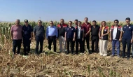 Sözleşmeli Mısır Hasadı Başladı
