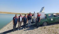 Merzifon’da 2 Gölete 200 Bin Sazan Yavrusu Bırakıldı