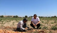 AK Parti Amasya İl Başkanı Galip Uzun’dan Mevsimlik Tarım İşçilerine Ziyaret