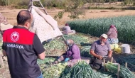 Amasya’da Çiftçilere Tarımsal Destek ve Üretim Planlaması