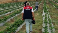 Amasya’da DOKAP Kapsamında Dağıtılan Fidan ve Fideler Kontrol Ediliyor