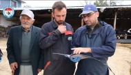 DSYB, Hayvan Islahı ve Verimlilik İçin Çalışmalarını Sürdürüyor