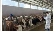 Amasya’da Güvenli Üretim Hamlesi