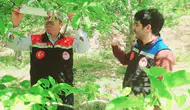 Amasya’da Ürün Kaybına Karşı Önlem