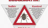 Amasya İl Sağlık Müdürlüğü’nden Hayati Kene Uyarısı