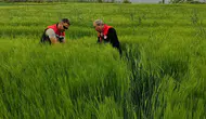 Merzifon’da Hasar Tespiti Başladı