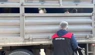 Merzifon’da Kurban Bayramı Öncesi Sıkı Denetim!