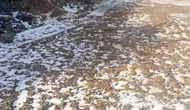 Gümüşhacıköy’ü Dolu Vurdu! Ekili Arazilerde Büyük Hasar İddiası