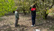 Amasya’da Üreticileri Koruyacak Hamle